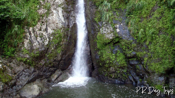 Dona Juana Waterfall Near Toro Negro Forest | PRDayTrips