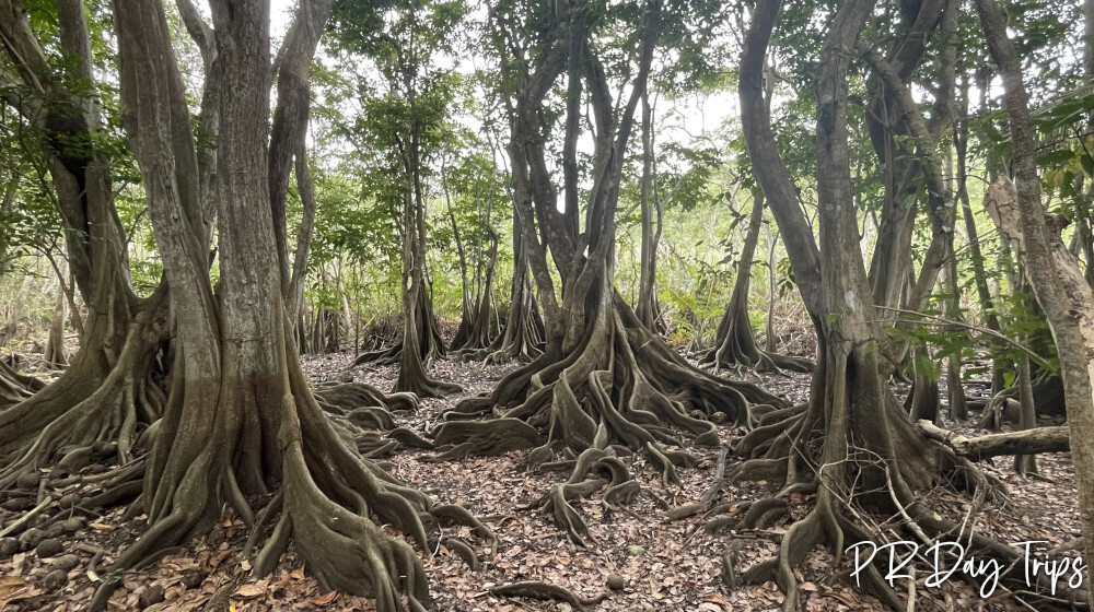 Río Guajataca Recreation Area