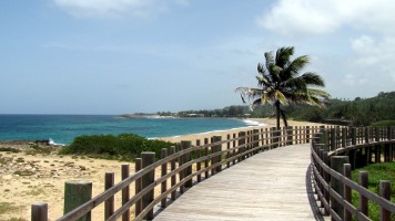 Playa de Jobos and Pozo Jacinto in Isabela | Puerto Rico Day Trips ...