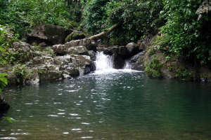 Toro Negro Forest Hiking, Charco, Waterfall, Cerro Punto | Puerto Rico ...